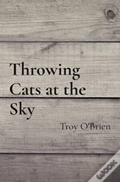 Capa do artigo Throwing Cats At The Sky