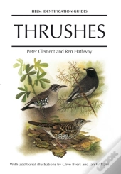 Thrushes