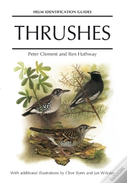 Capa do artigo Thrushes