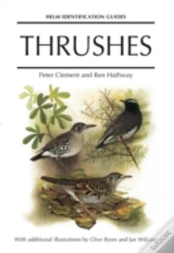 Capa do artigo Thrushes