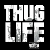 Capa do artigo Thug Life - Vinil