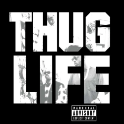 Capa do artigo Thug Life - Vinil