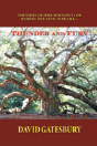 Thunder And Fury - Preview
