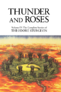 Thunder And Roses - Preview