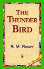 Thunder Bird - Preview