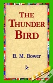 Capa do artigo Thunder Bird