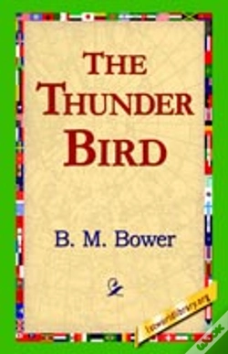 Capa do artigo Thunder Bird
