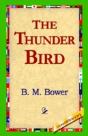 Thunder Bird - Preview