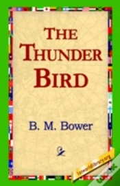 Capa do artigo Thunder Bird