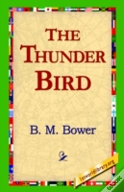 Capa do artigo Thunder Bird