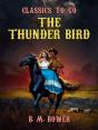 Thunder Bird - Preview
