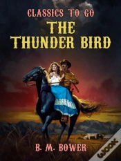 Capa do artigo Thunder Bird