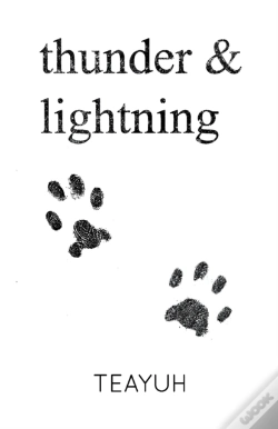 Capa do artigo Thunder & Lightning
