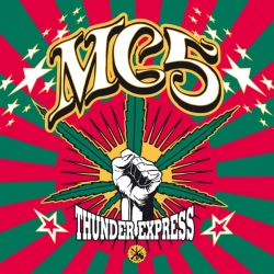 Capa do artigo Thunder Express - Vinil