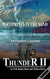 Capa do artigo Thunder Ii
