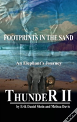 Capa do artigo Thunder Ii