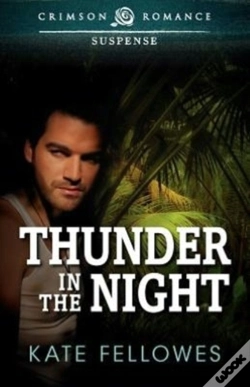 Capa do artigo Thunder In The Night