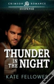 Capa do artigo Thunder In The Night