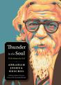 Thunder In The Soul - Preview