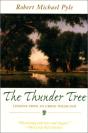 Thunder Tree - Preview