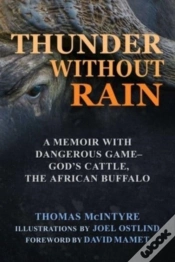 Capa do artigo Thunder Without Rain