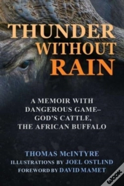 Capa do artigo Thunder Without Rain