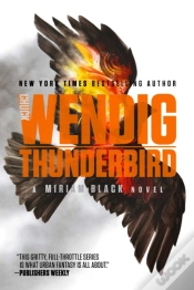 Capa do artigo Thunderbird