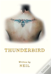 Capa do artigo Thunderbird