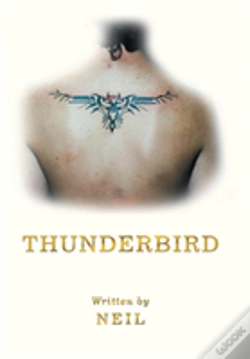 Capa do artigo Thunderbird