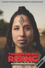 Capa do artigo Thunderbird Rising