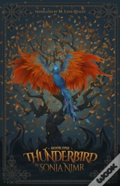 Capa do artigo Thunderbird