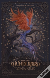 Capa do artigo Thunderbird