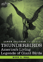 Thunderbirds: America'S Living Legends O - Preview