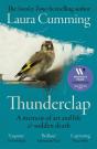 Thunderclap - Preview