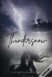 Capa do artigo Thundersnow