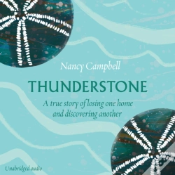Capa do artigo Thunderstone