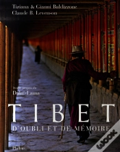 Capa do artigo Tibet D