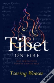 Capa do artigo Tibet On Fire