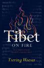 Tibet On Fire - Preview