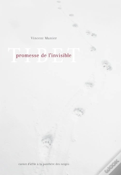 Capa do artigo Tibet : Promesse De L'Invisible