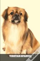 Tibetan Spaniel