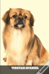 Capa do artigo Tibetan Spaniel