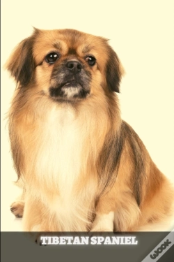 Capa do artigo Tibetan Spaniel