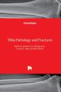Tibia Pathology And Fractures - Preview