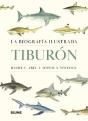Tiburon - Preview