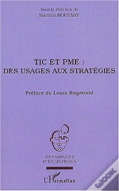 Tic Et Pme : Des Usages Aux Strategies