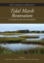 Tidal Marsh Restoration - Preview