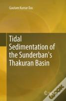 Tidal Sedimentation Of The Sunderban'S Thakuran Basin