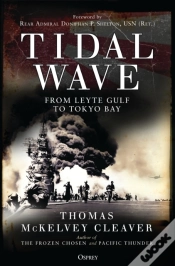 Capa do artigo Tidal Wave