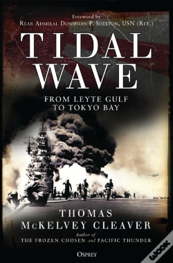 Capa do artigo Tidal Wave